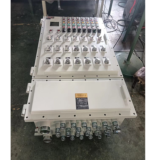 廠用防爆配電箱 IIB IIC IP54/IP65