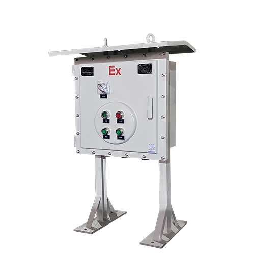 立式防爆控制箱帶防雨罩