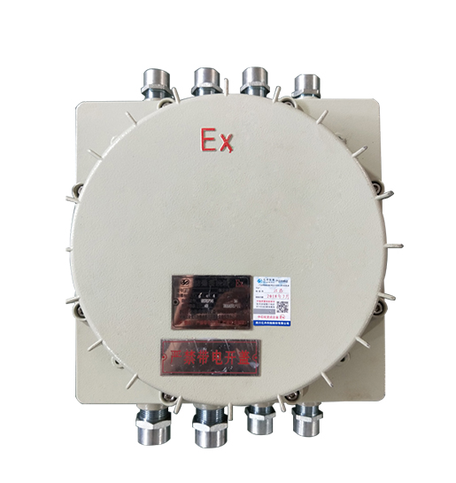 廠用防爆接線箱