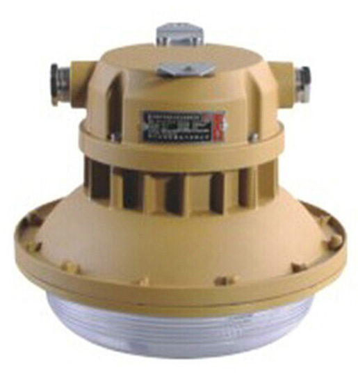 防爆無(wú)極燈型號(hào)