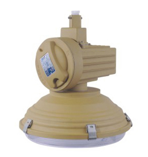 防爆無(wú)極燈 免維護(hù)